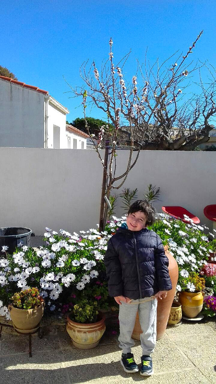 Kendjy participe au concours pour gagner de l'argent avec cette photo : botany, flower, flowerpot, garden, houseplant, joy, perennial_plant, person, plant, shrub, spring, tourism, tree, vacation