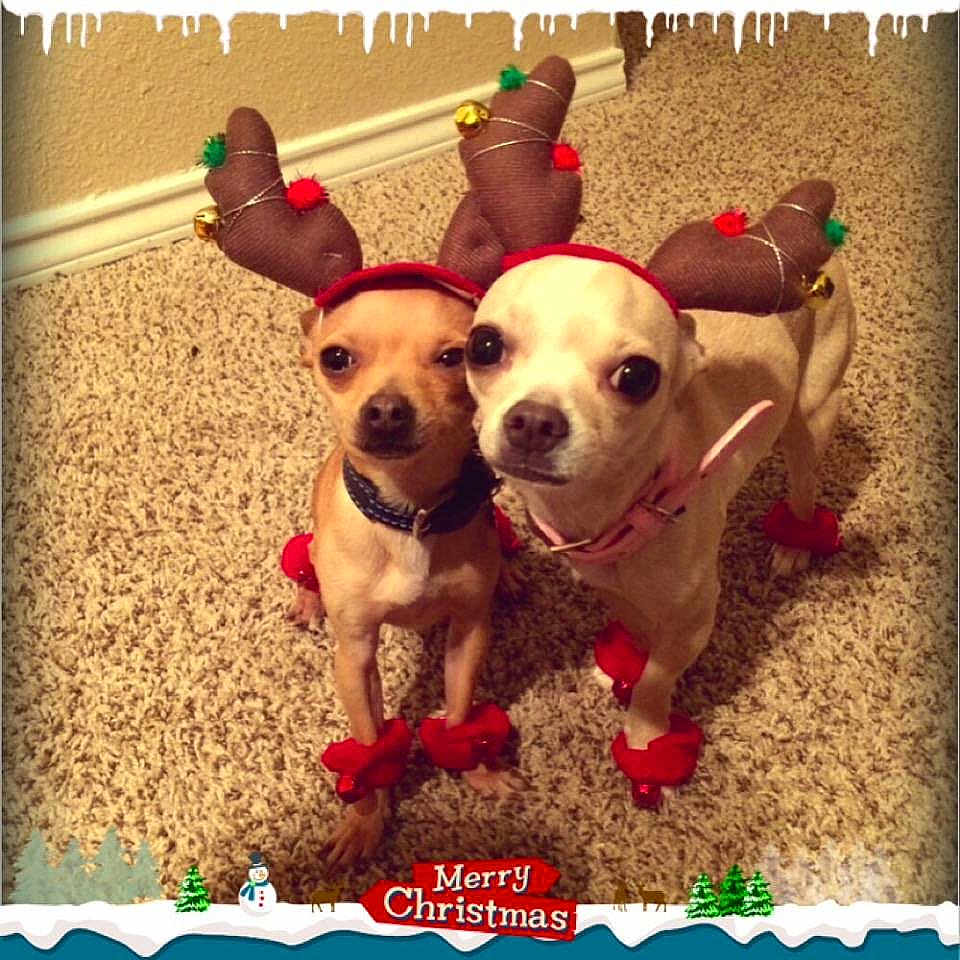 Pj And Zoe
