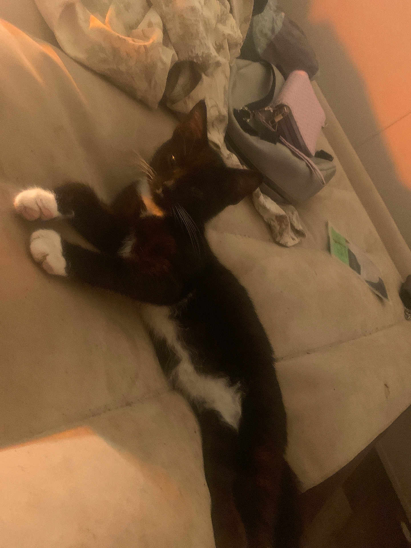 Mittens