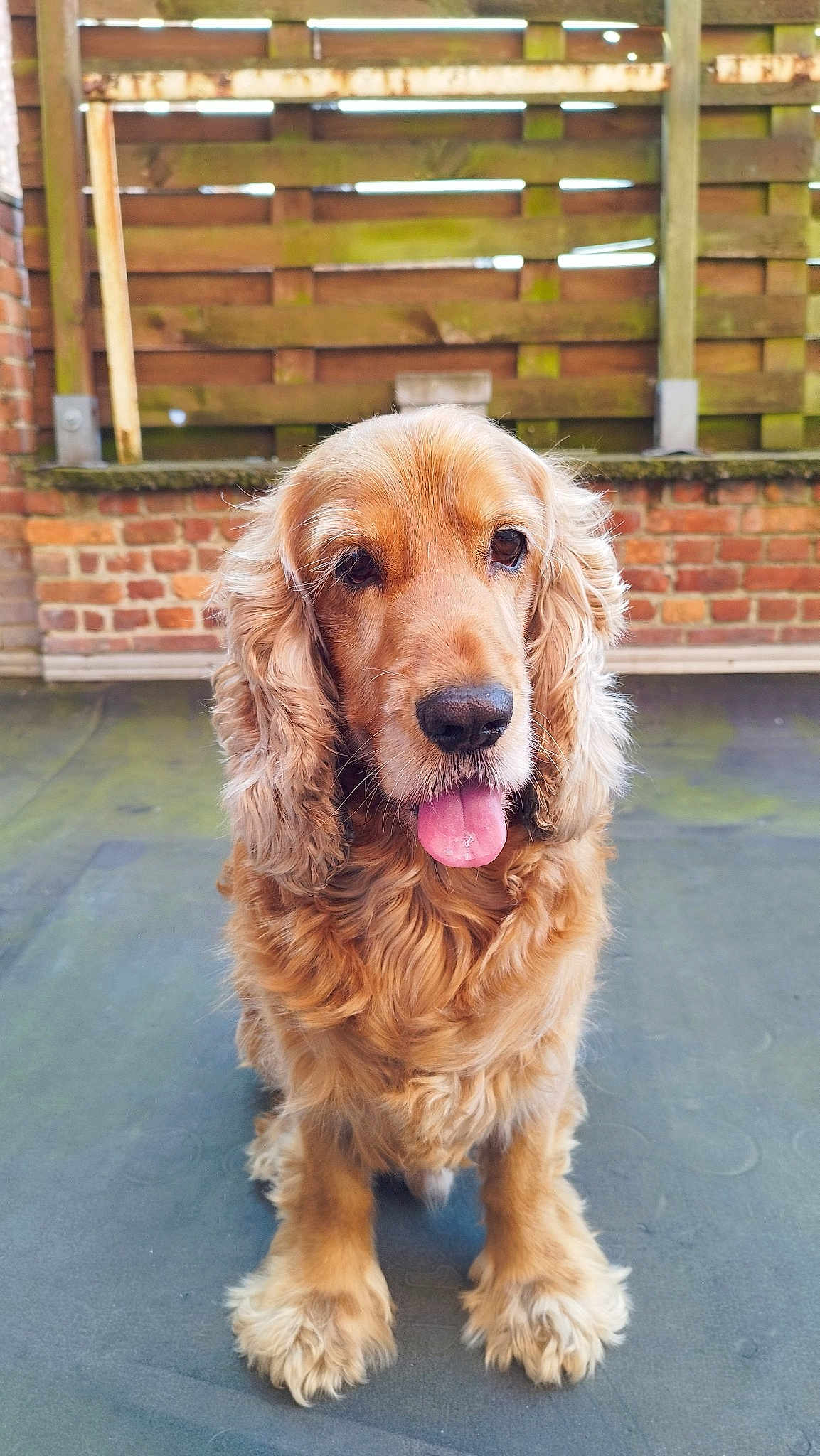 Benjy