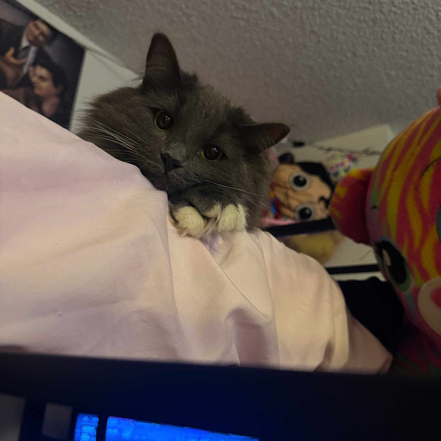 Chimichanga