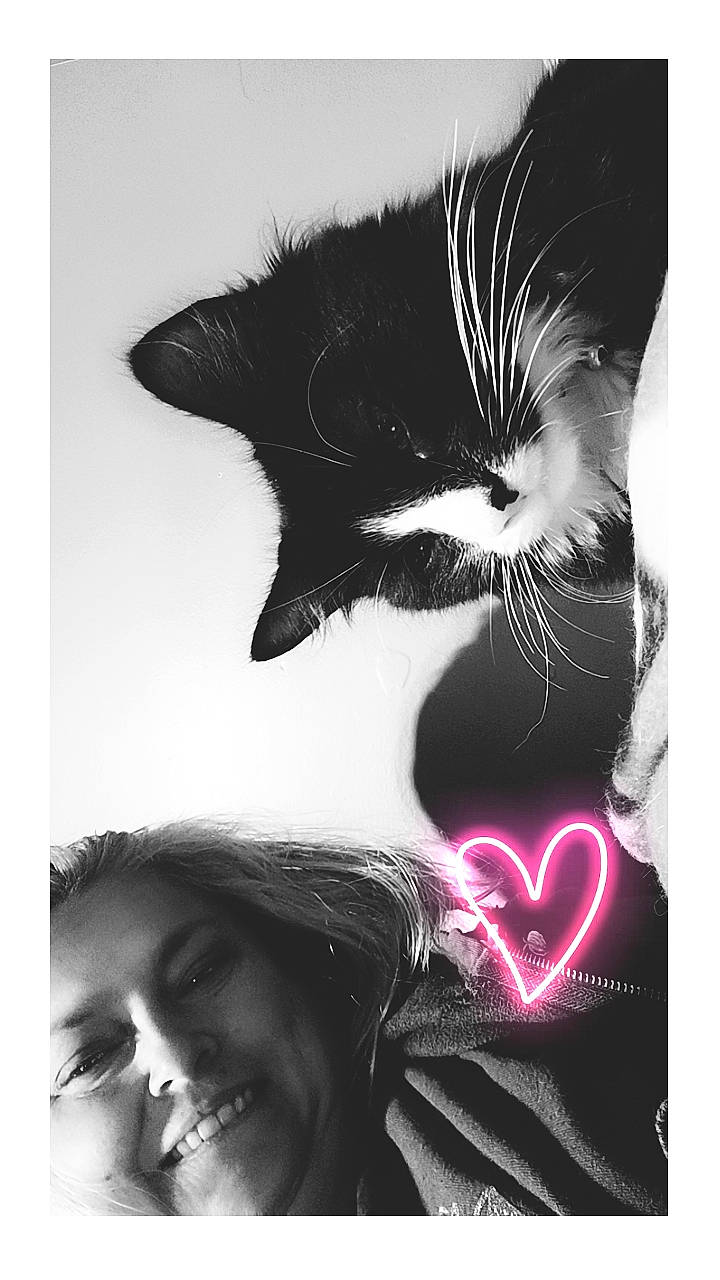 Salmon is registered to the contest to win money with this photo: beauty, black, black_and_white, carnivore, cat, eyelash, felidae, flash_photography, font, gesture, happy, magenta, monochrome, monochrome_photography, organ, small_to_medium_sized_cats, style, tail, whiskers, white