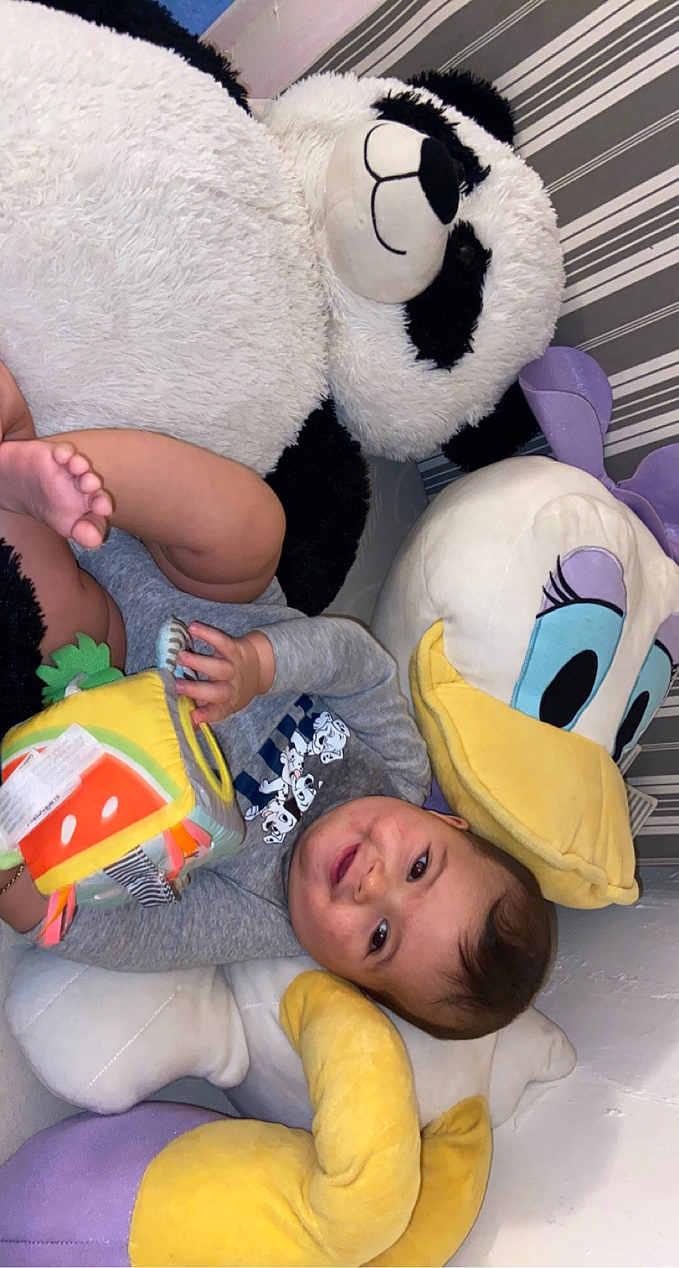 Jessim a rejoint le concours — aidez-le/la à gagner de superbes lots ! child, comfort, facial_expression, fun, happy, joy, mammal, organ, person, photograph, product, room, smile, snapshot, stuffed_toy, teddy_bear, textile, toddler, toy, vertebrate