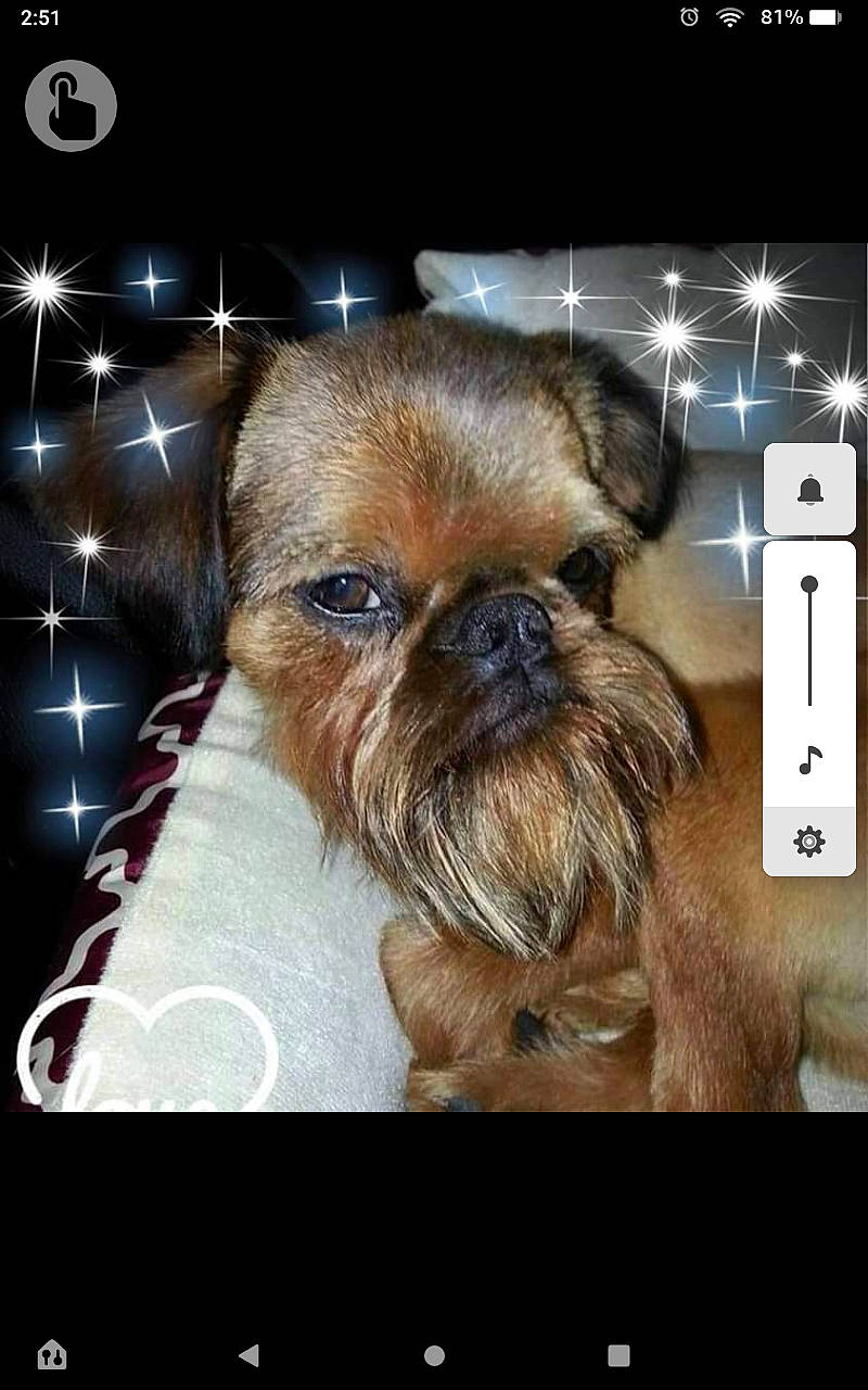 Louie Micus Bulatovic