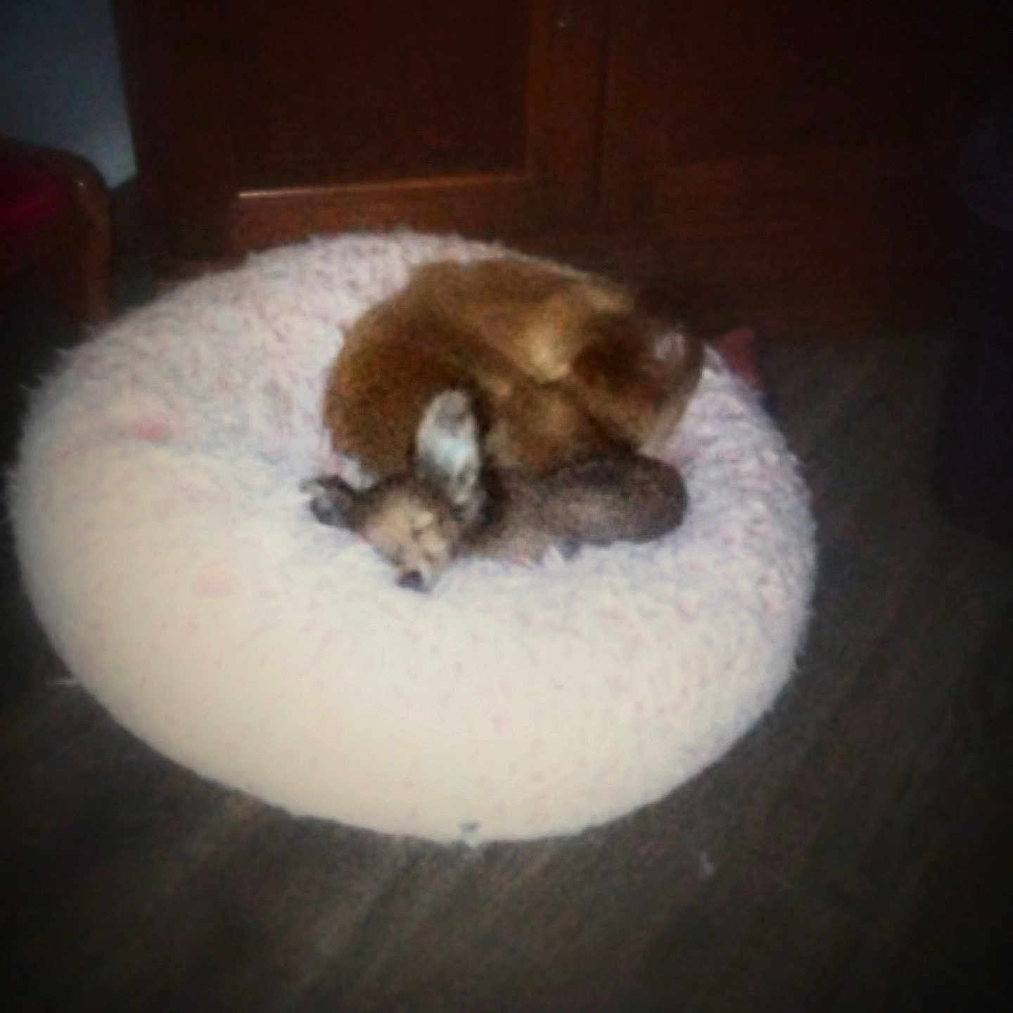 Max