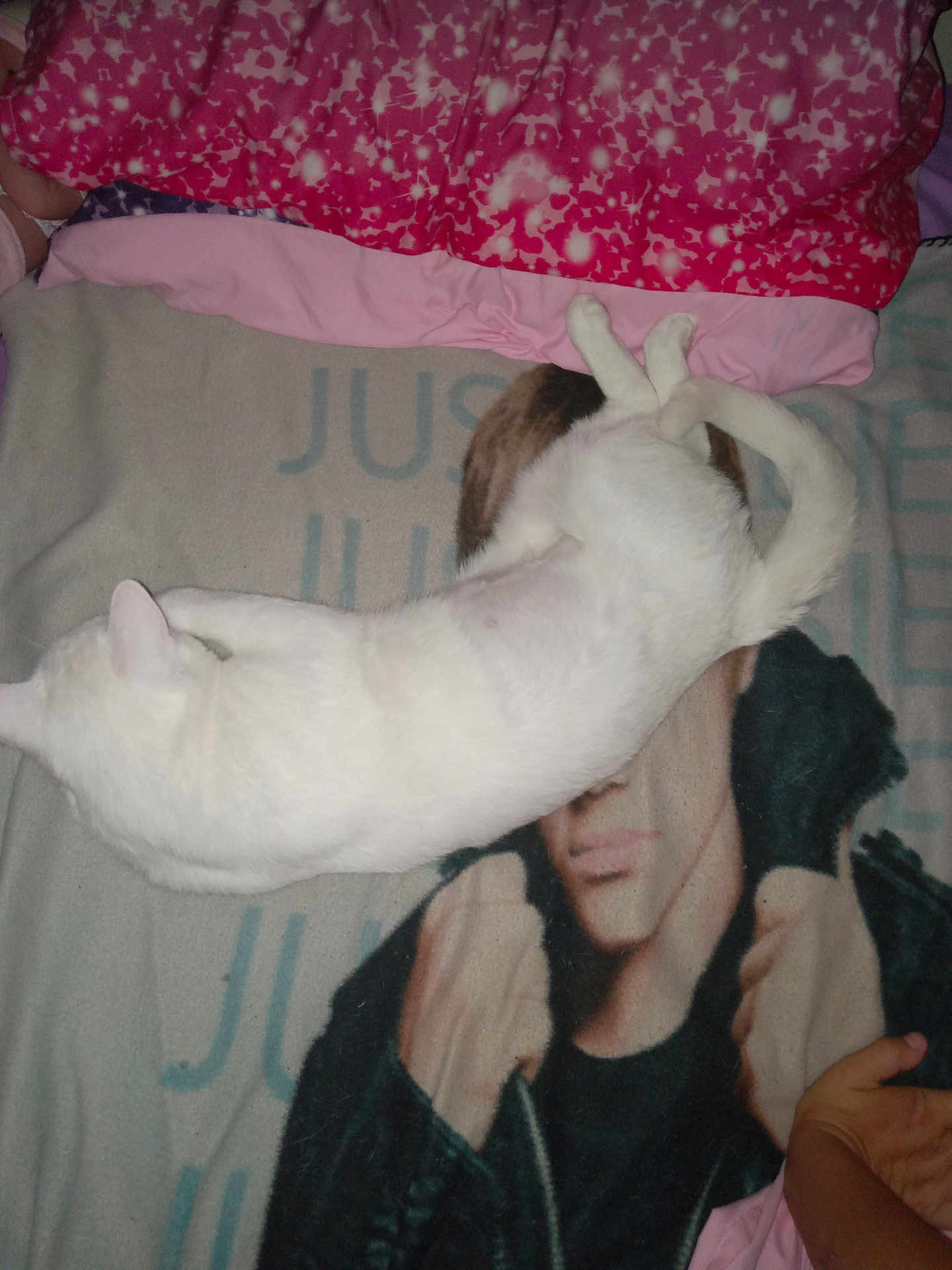 Casper