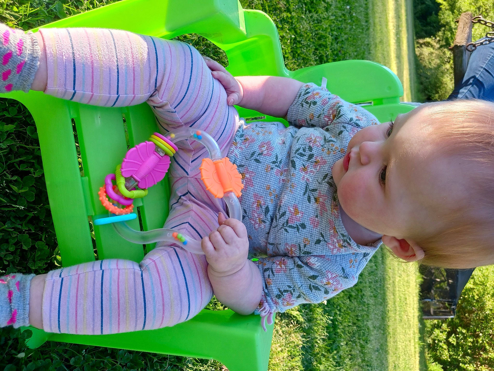 Nova joined the competition — help win amazing prizes! baby, baby_toddler_clothing, botany, finger, fun, grass, grass_family, green, happy, leaf, leisure, people_in_nature, person, photograph, pink, plant, purple, recreation, toddler, tree