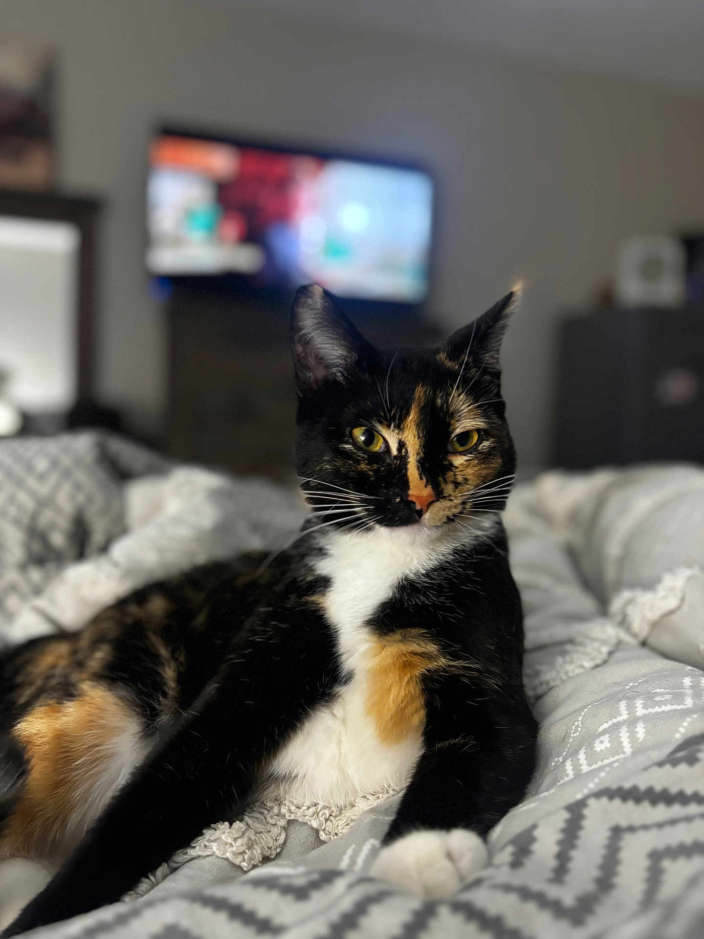 Marlo