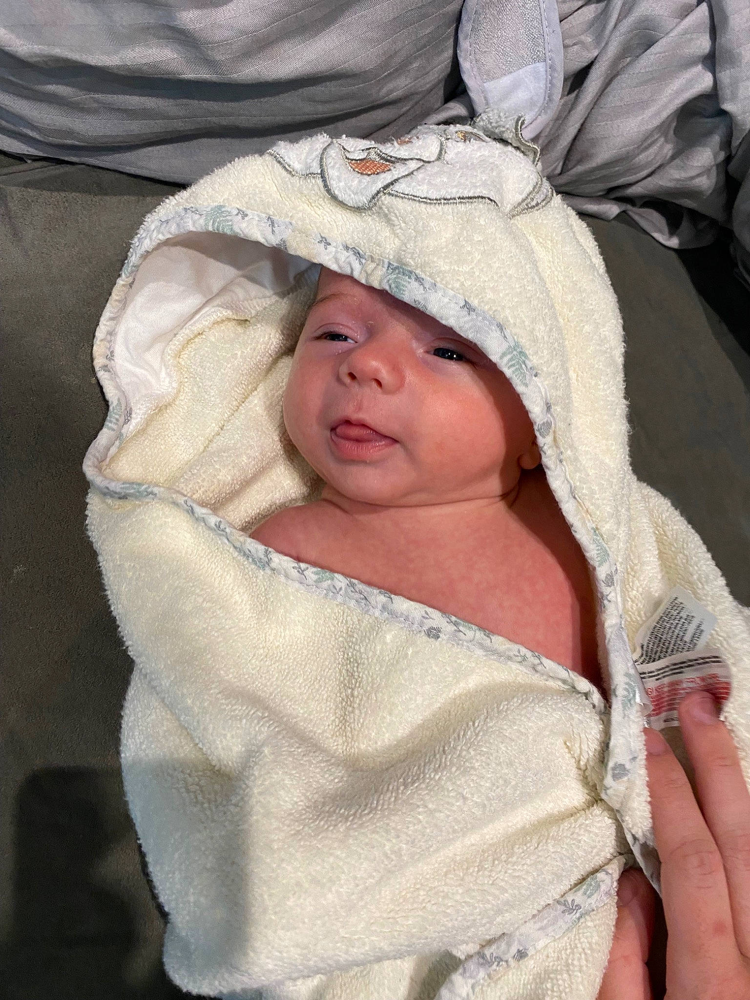 Harrison joined the competition — help win amazing prizes! baby, cheek, child, comfort, eyelash, fashion_accessory, flesh, fur, headgear, headwear, hood, linens, outerwear, person, sleeve, toddler, winter, wool