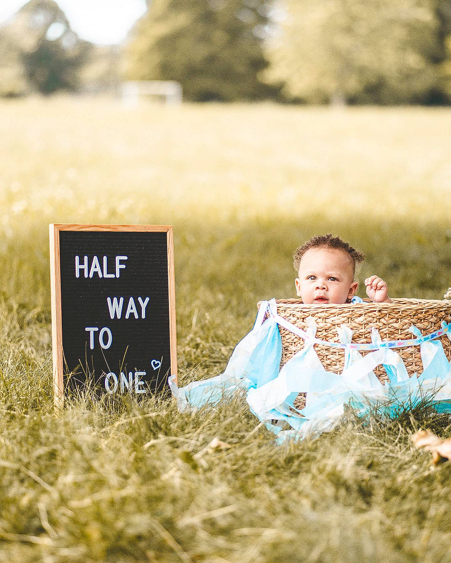 Aaron is registered to the contest to win money with this photo: adaptation, daytime, facial_expression, flash_photography, grass, grass_family, grassland, happy, landscape, meadow, morning, natural_environment, natural_landscape, people_in_nature, person, plant, prairie, rural_area, sunlight, tree