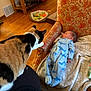 cat, baby, infant, armchair, blanket, wooden_floor, indoor, pet_toys, calico_cat, blue_pajamas, patterned_fabric, curious, relaxed, soft_lighting, furniture, cozy, interaction, child, animal, home