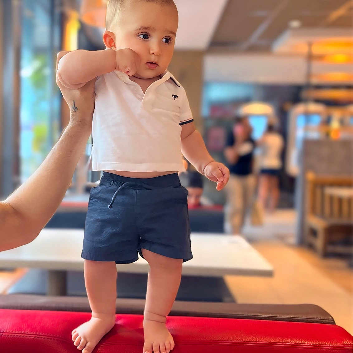 Monté a rejoint le concours — aidez-le/la à gagner de superbes lots ! baby, barefoot, blurred_background, cafe, casual_clothing, child, curious, furniture, hand, holding, indoor, lighting, person, polo_shirt, portrait, red_couch, shorts, standing, table, young_child