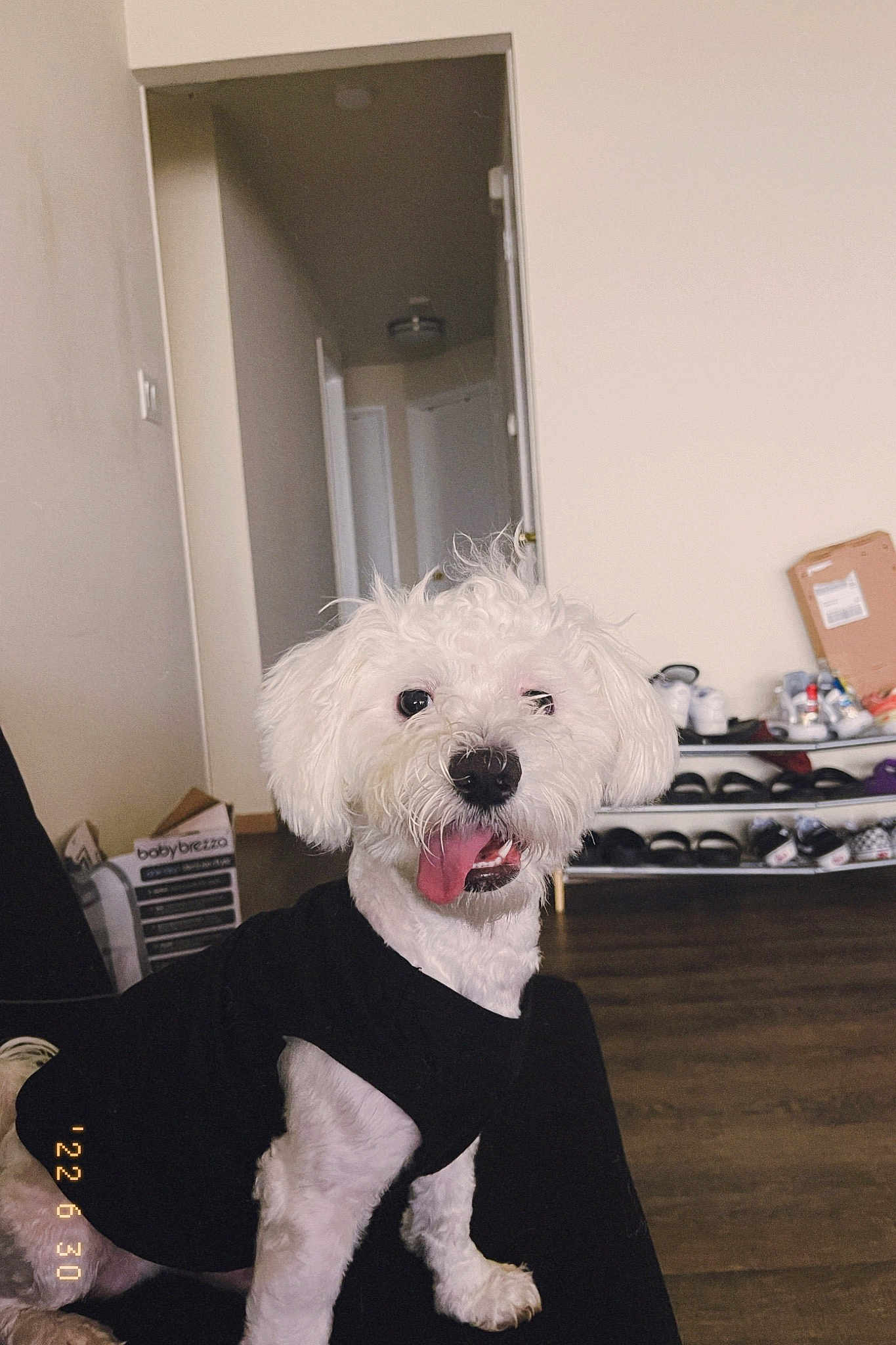 Snoopy