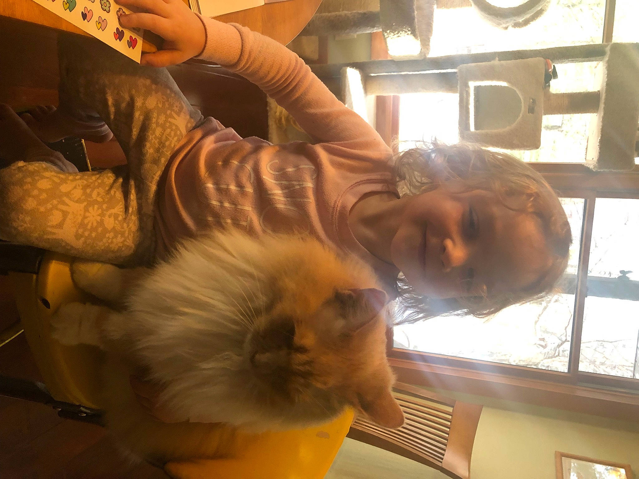 Jake is registered to the contest to win money with this photo: canidae, chair, child, comfort, companion_dog, dog_breed, felidae, flooring, fun, fur, human_leg, mammal, room, sitting, small_to_medium_sized_cats, sporting_group, toy_dog, vertebrate, whiskers, wood