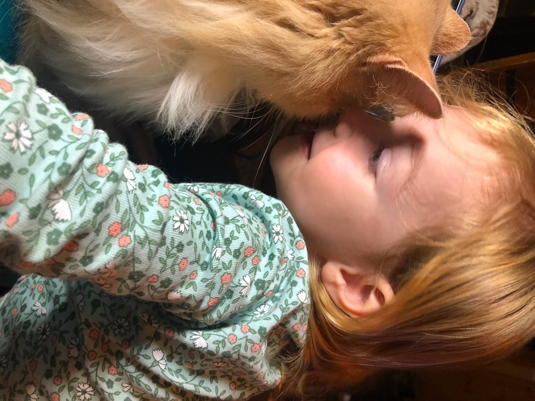 Jake is registered to the contest to win money with this photo: brown_hair, canidae, child, comfort, companion_dog, dog_breed, eyelash, fur, gesture, grass, head, liver, neck, nose, pattern, skin, toddler, tree, whiskers, wood