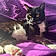 Jinxy