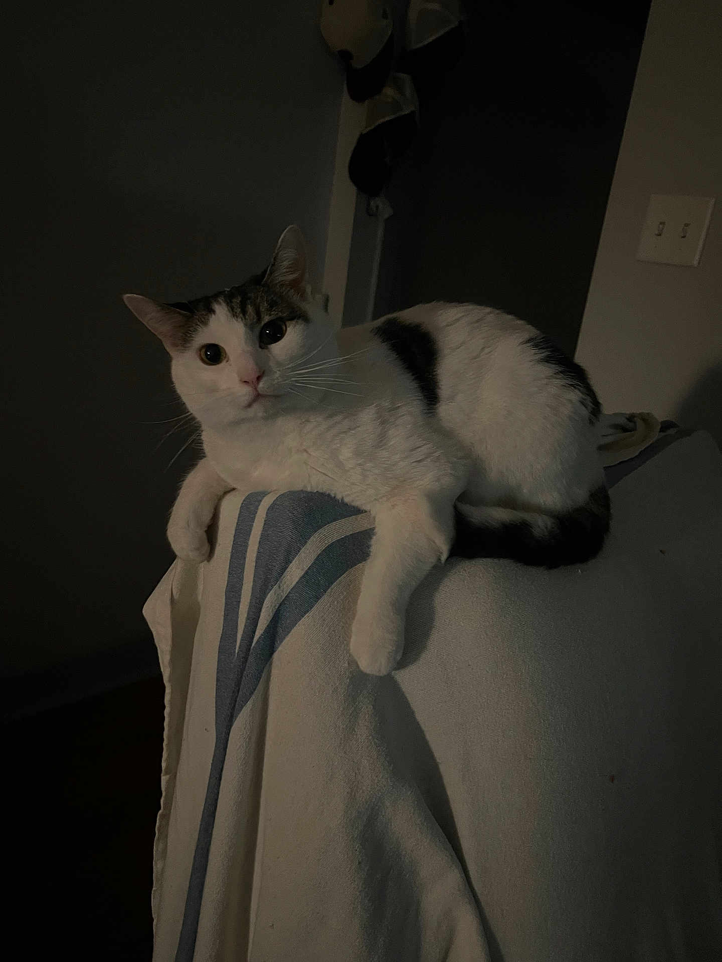 Peter