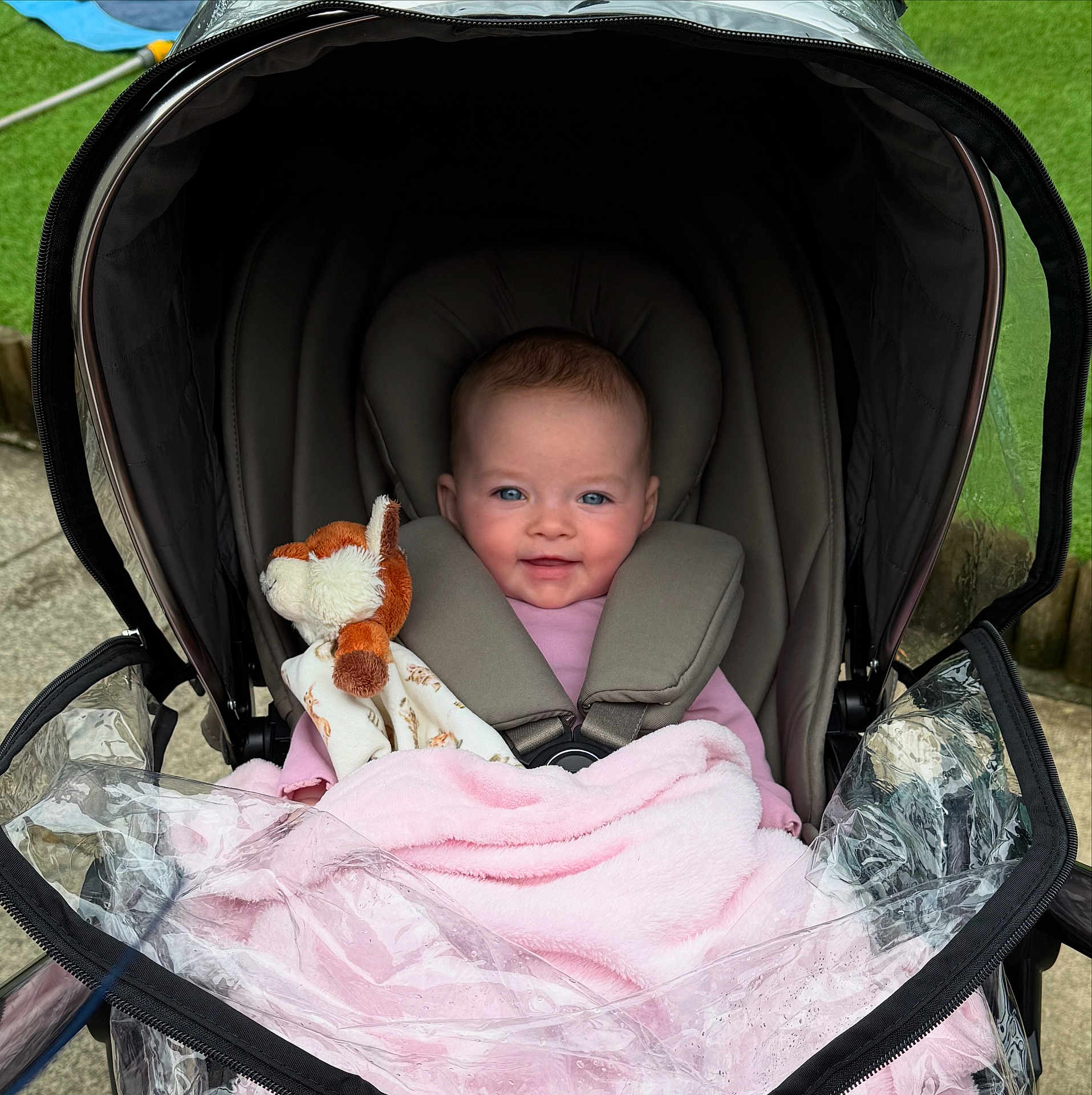 Francesca joined the competition — help win amazing prizes! baby, stroller, blanket, stuffed_animal, child, outdoor, smiling, happy, pink, face, seatbelt, protective_cover, grass, toy, infant, cute, person, head, clothing, safety
