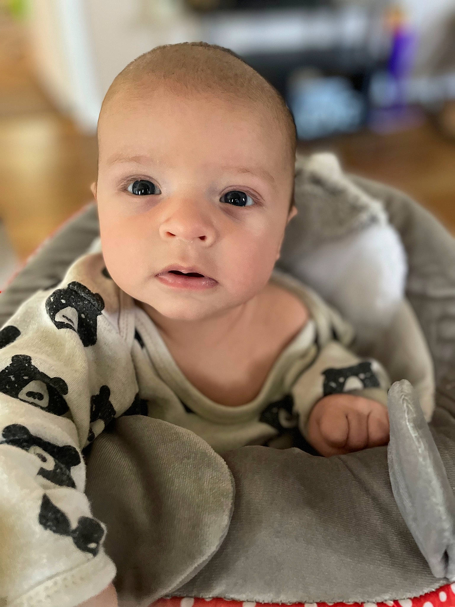 Clayton joined the competition — help win amazing prizes! baby, baby_toddler_clothing, cheek, child, chin, comfort, eye, eyebrow, finger, flooring, happy, iris, lip, nose, person, sitting, skin, sleeve, smile, textile