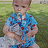 toddler, child, pacifier, stuffed_animal, spiderman_outfit, grass, outdoor, sky, fence, kneeling, serious_expression, blue_clothing, toy, summer, daylight, nature, playtime, cute, young_child, person