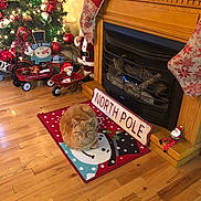 Andy joined the competition — help win amazing prizes! cat, ginger_cat, christmas_tree, fireplace, stockings, holiday_decorations, rug, snowman, wood_floor, santa_figurine, north_pole_sign, wheelbarrow, toy_wagon, lights, ornaments, festive, indoor, cozy, decor, holiday