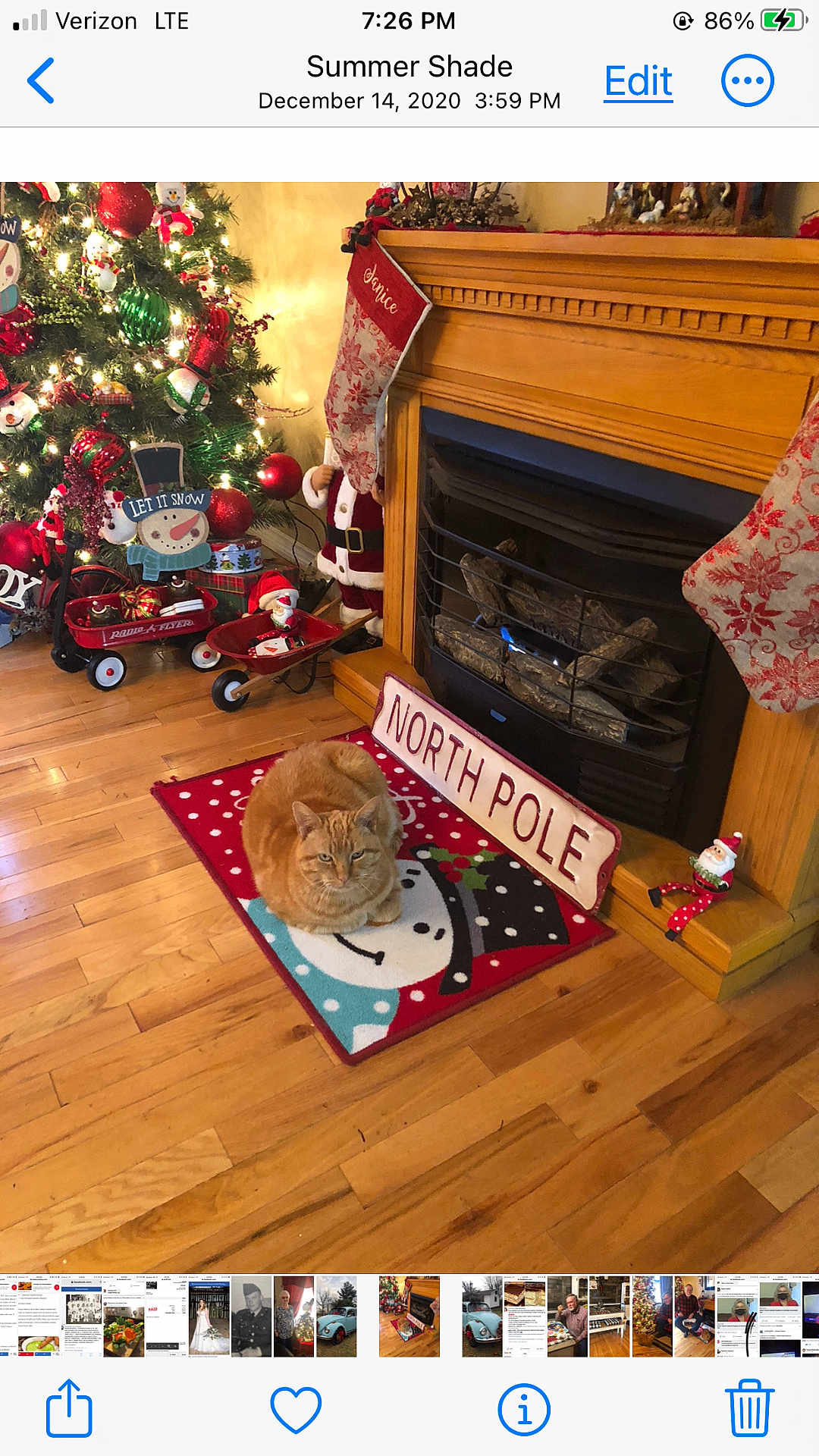 Andy joined the competition — help win amazing prizes! cat, ginger_cat, christmas_tree, fireplace, stockings, holiday_decorations, rug, snowman, wood_floor, santa_figurine, north_pole_sign, wheelbarrow, toy_wagon, lights, ornaments, festive, indoor, cozy, decor, holiday