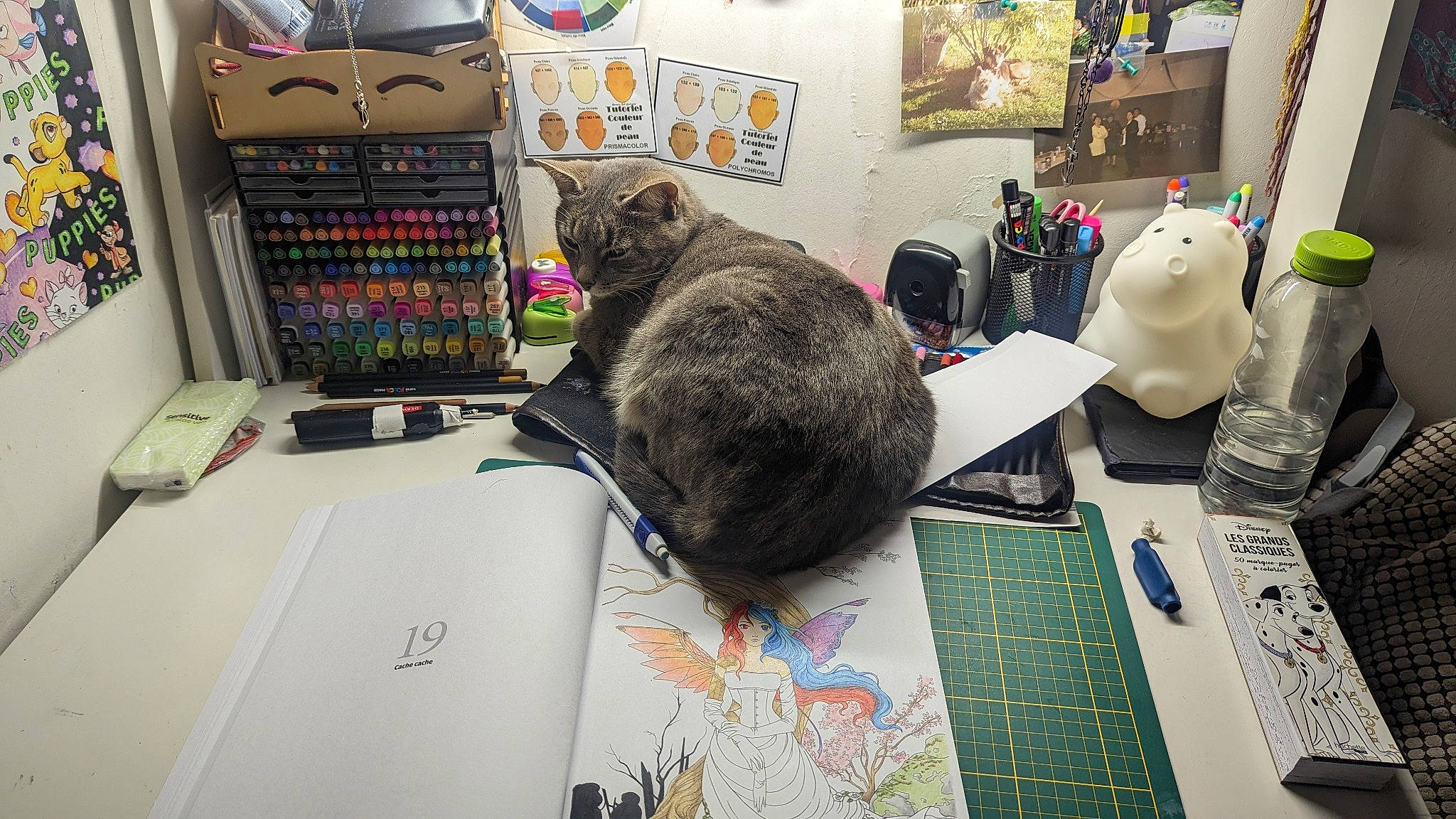 Rhapsody a rejoint le concours — aidez-le/la à gagner de superbes lots ! cat, computer, computer_keyboard, desk, engineering, felidae, fur, job, machine, mouse, office_equipment, personal_computer, room, shelving, small_to_medium_sized_cats, t_shirt, table, toy, visual_arts, whiskers