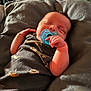 Hunter Dominic Russo joined the competition — help win amazing prizes! baby, newborn, pacifier, sleeping, infant, blanket, cozy, soft, cute, child, human, rest, peaceful, clothing, lying_down, small_hands, portrait, indoors, warm_light, relax