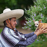 Nancy Dog is registered to the contest to win money with this photo: man, sombrero, poncho, dog, chihuahua, holding, outdoor, greenery, flowers, purple_flowers, portrait, smiling, side_view, animal, pet, small_dog, hand, nature, blurred_background, casual