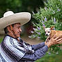 man, sombrero, poncho, dog, chihuahua, holding, outdoor, greenery, flowers, purple_flowers, portrait, smiling, side_view, animal, pet, small_dog, hand, nature, blurred_background, casual