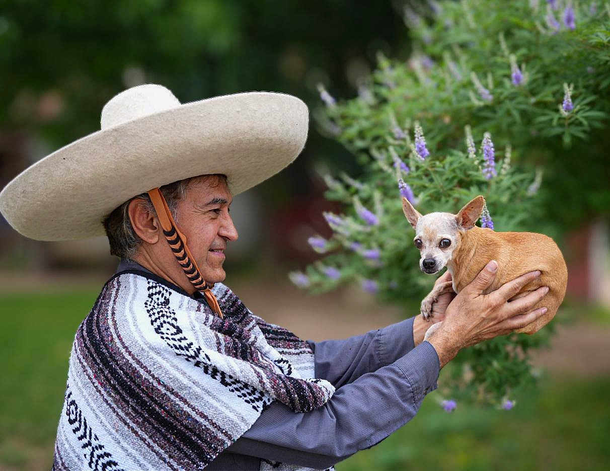 Nancy Dog is registered to the contest to win money with this photo: man, sombrero, poncho, dog, chihuahua, holding, outdoor, greenery, flowers, purple_flowers, portrait, smiling, side_view, animal, pet, small_dog, hand, nature, blurred_background, casual