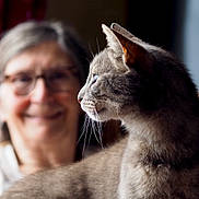 Foggy a rejoint le concours — aidez-le/la à gagner de superbes lots ! blurred_background, cat, chair, close_up, companionship, curious, domestic_animal, elderly_woman, feline, glasses, gray_cat, indoors, intimate, pet, portrait, profile, smiling, soft_light, warm, whiskers