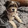 Rudy Ru Thompson