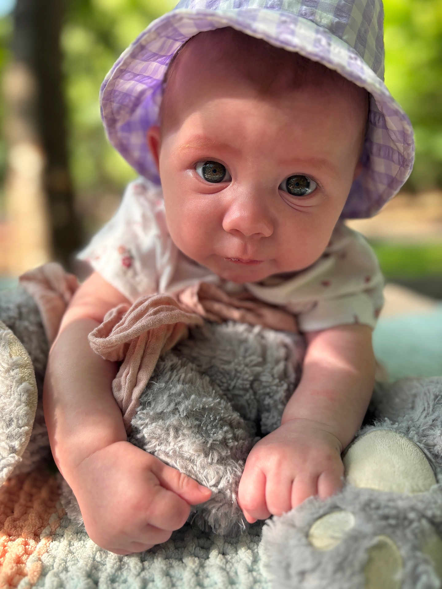 Mollie-Blake