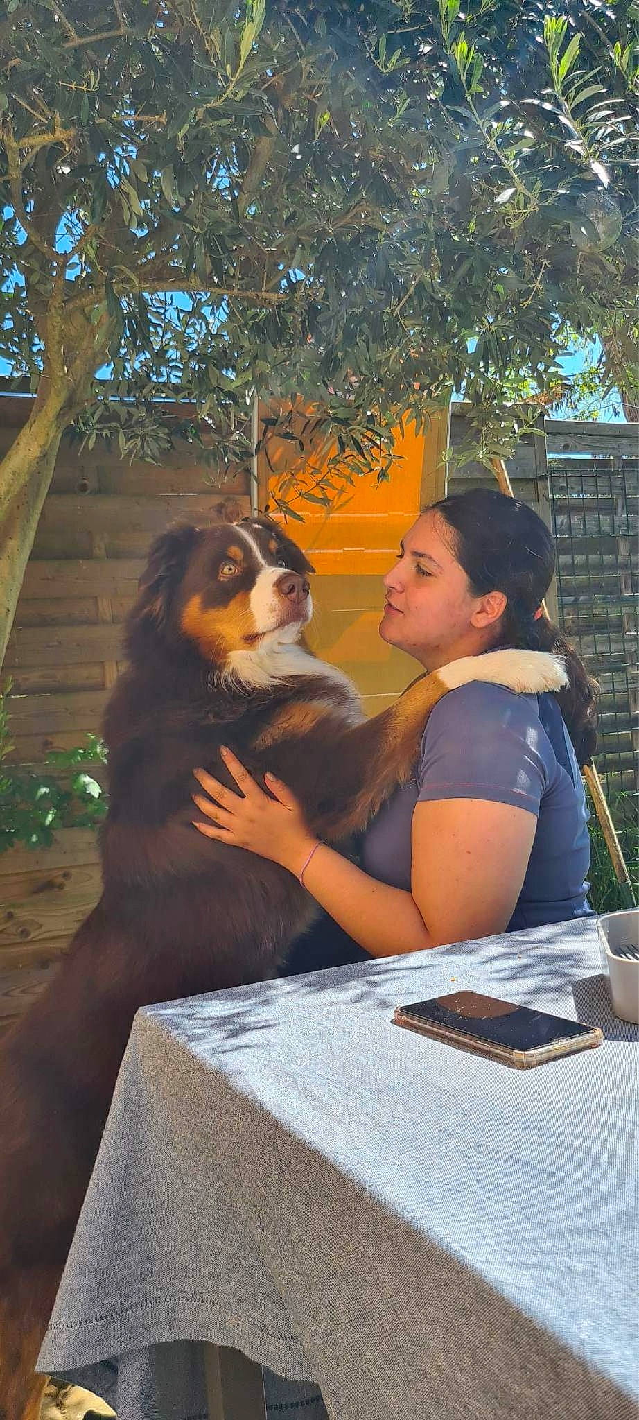 Horus participe au concours pour gagner de l'argent avec cette photo : carnivore, companion_dog, conversation, dog, dog_breed, event, fawn, fun, fur, grass, happy, leisure, plant, recreation, sitting, smile, sunlight, table, tableware, tree