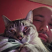 Alucard joined the competition — help win amazing prizes! cat, ceiling, close_up, cozy, facial_piercing, human_face, indoor, lap, nose_ring, paw, person, pet, portrait, red_wall, relaxed, septum_ring, sleepy, sofa, tabby, whiskers