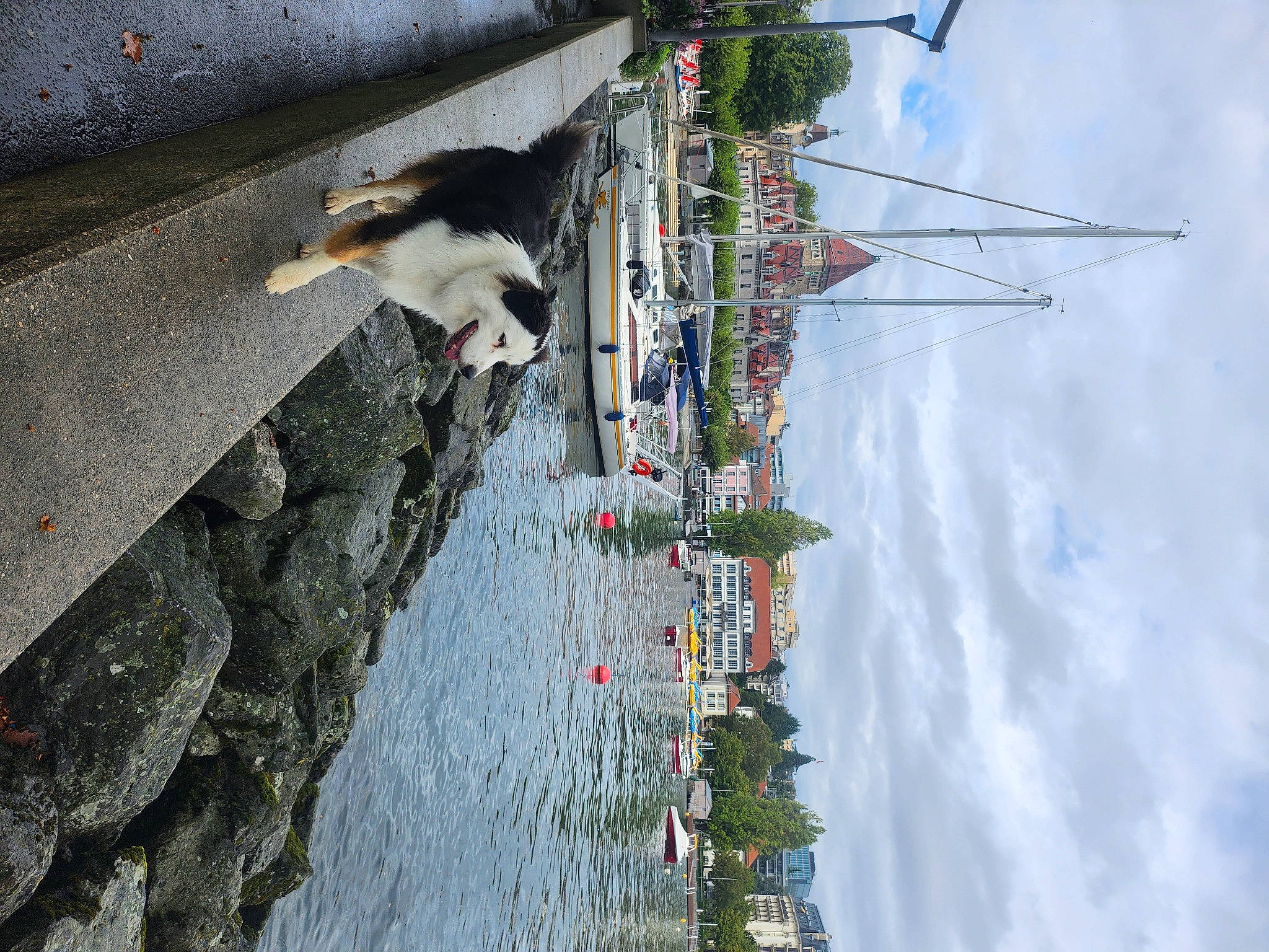 Hestia participe au concours pour gagner de l'argent avec cette photo : building, city, cloud, electricity, facade, house, lake, landscape, line, plant, pole, recreation, reflection, sky, tower, tree, urban_design, water, window, wood