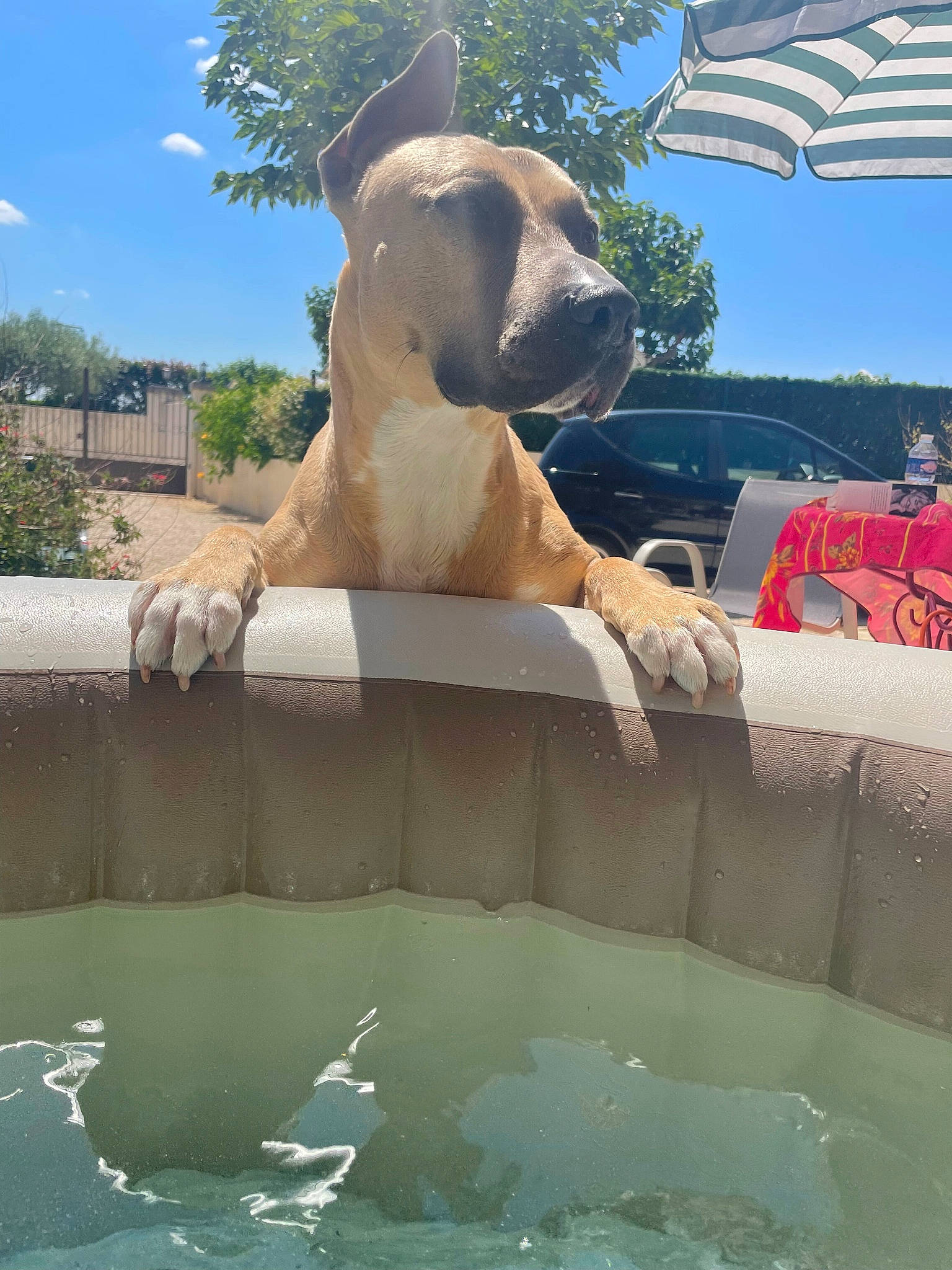 Nero participe au concours pour gagner de l'argent avec cette photo : art, blue, fawn, flag, flag_of_the_united_states, fountain, fun, landscape, leisure, monument, recreation, sculpture, sky, statue, tourism, tree, vacation, water, water_feature, working_animal