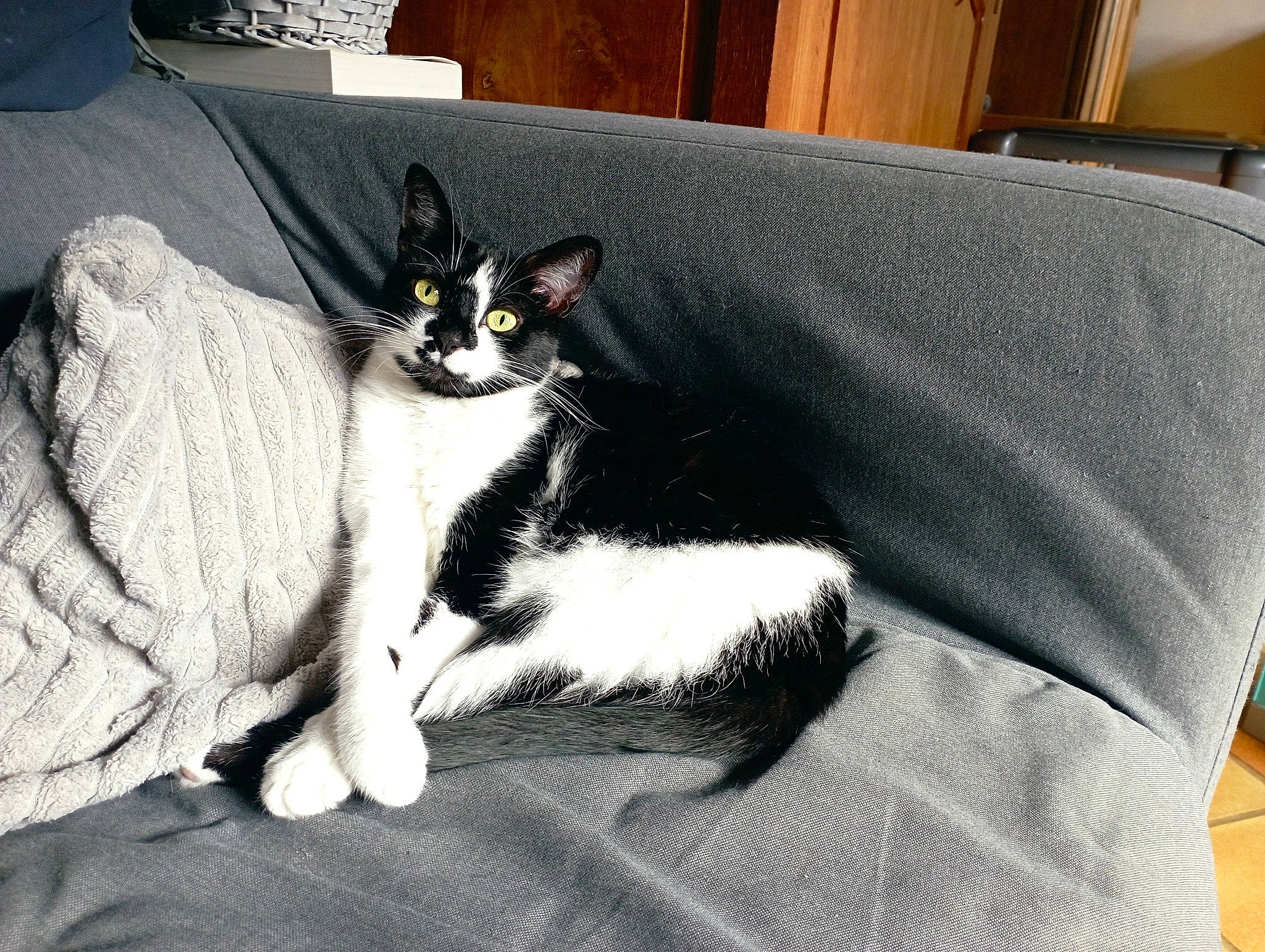 Rosie