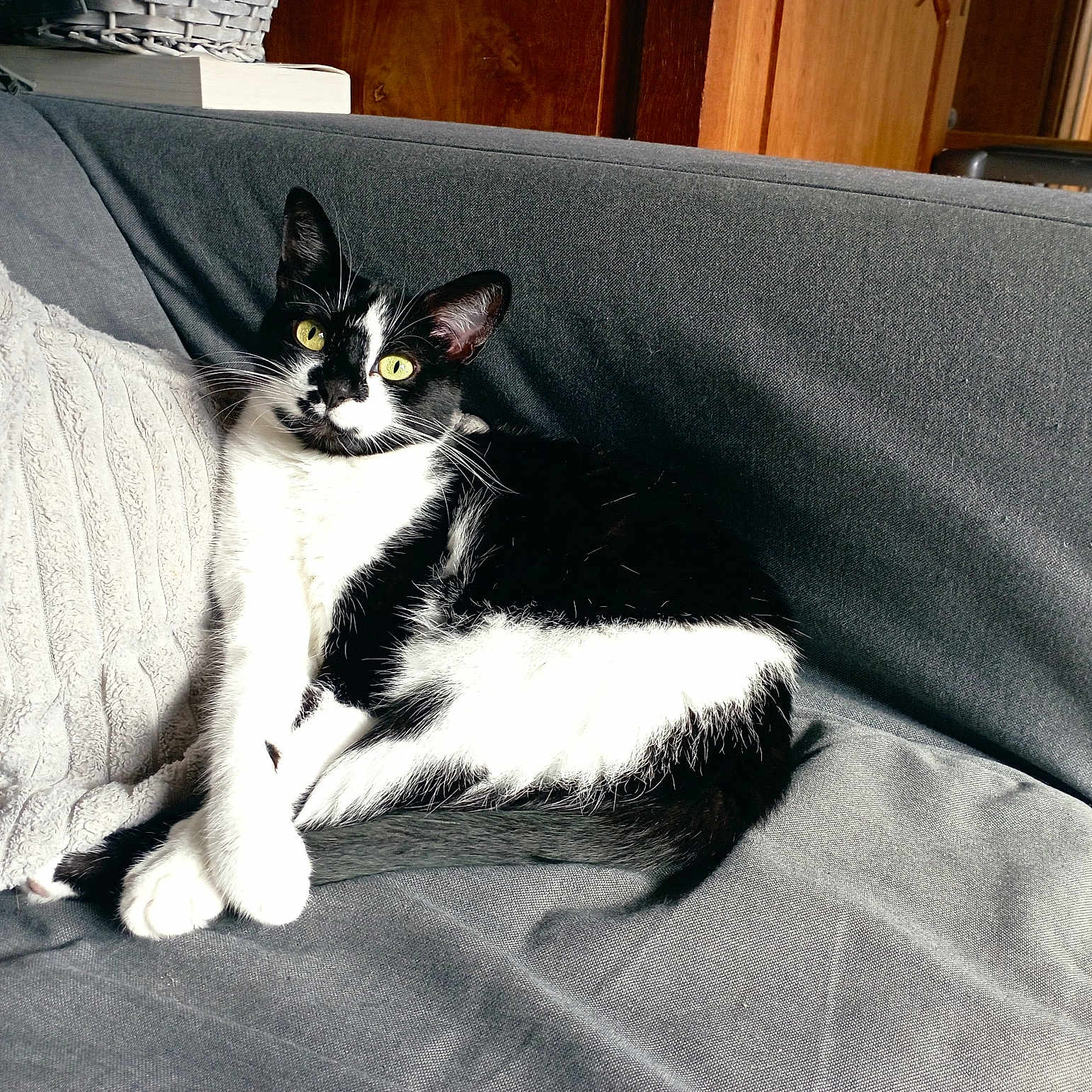 Rosie