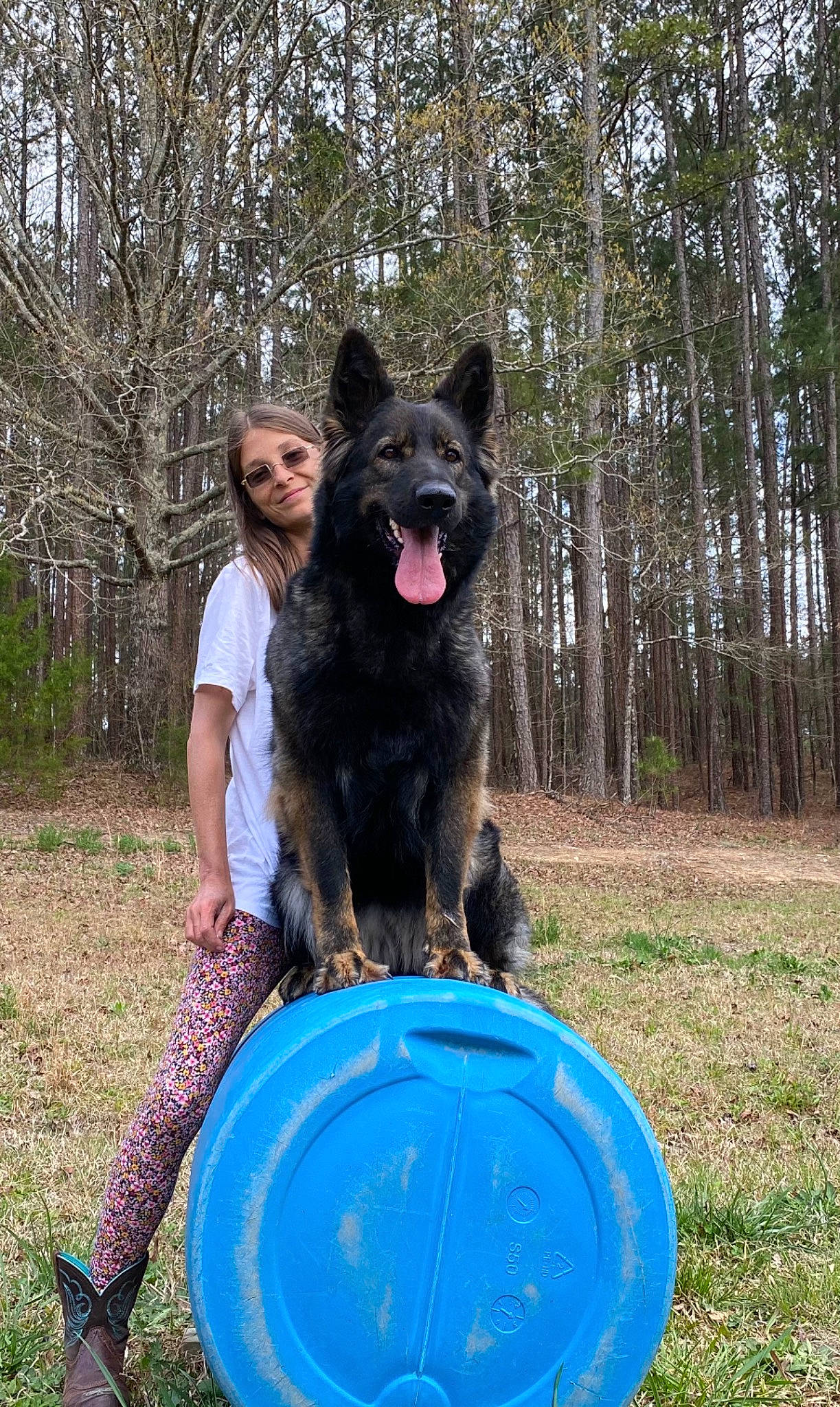 Emma is registered to the contest to win money with this photo: animal_training, canidae, carnivore, companion_dog, dog, dog_breed, dog_sports, electric_blue, fun, fur, grass, herding_dog, king_shepherd, leisure, mammal, plant, recreation, sporting_group, tree, working_dog