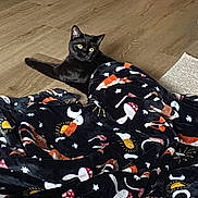 Cain joined the competition — help win amazing prizes! cat, black_cat, blanket, mushroom_pattern, fox_pattern, stars, wood_floor, yellow_eyes, pet, indoor, cozy, curled_up, fur, curious, looking_up, floor, textile, home_interior, playful, resting