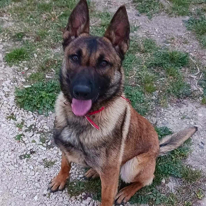 Tina