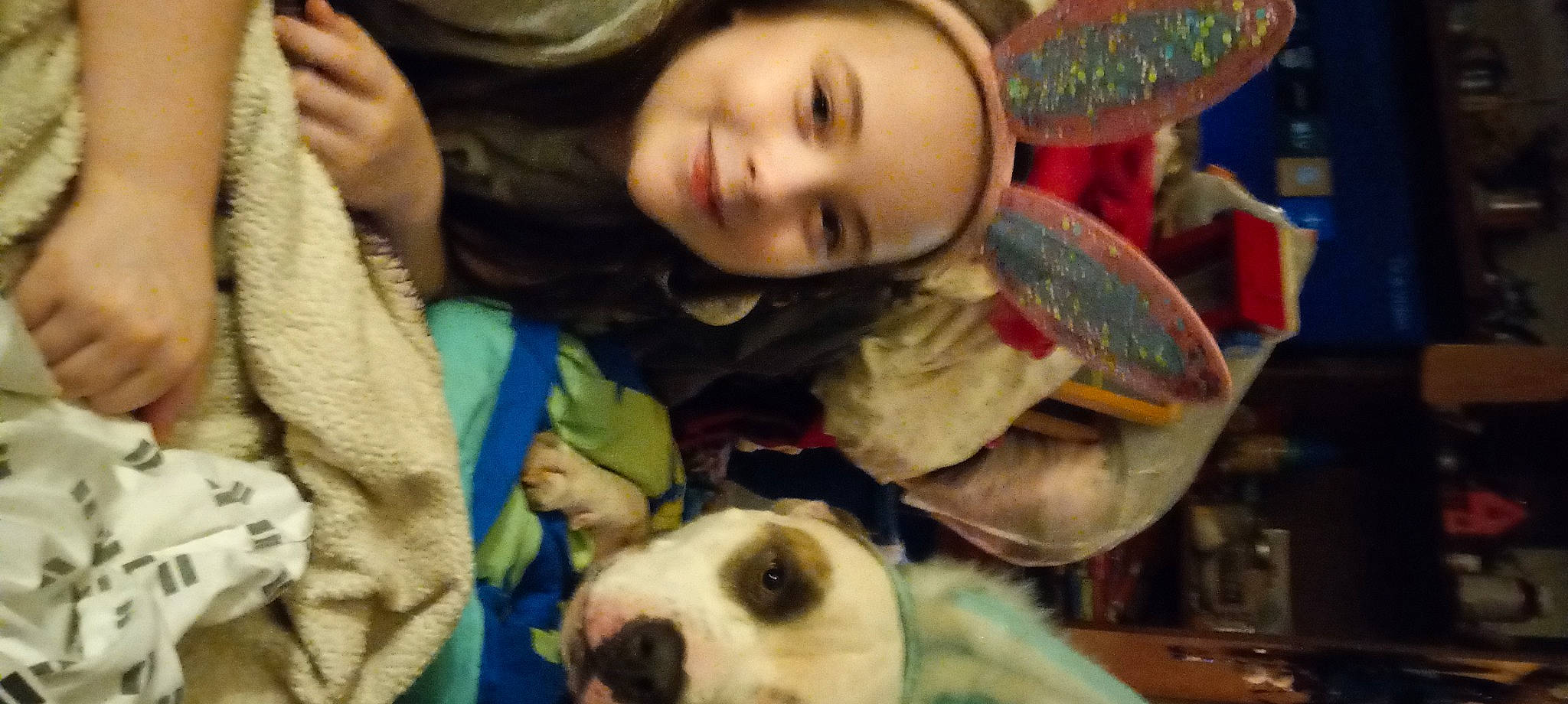 Lexi is registered to the contest to win money with this photo: carnivore, companion_dog, dog_breed, eye, facial_expression, fun, happy, head, human, joy, mouth, nose, organ, people, person, photograph, skin, smile, textile, vertebrate