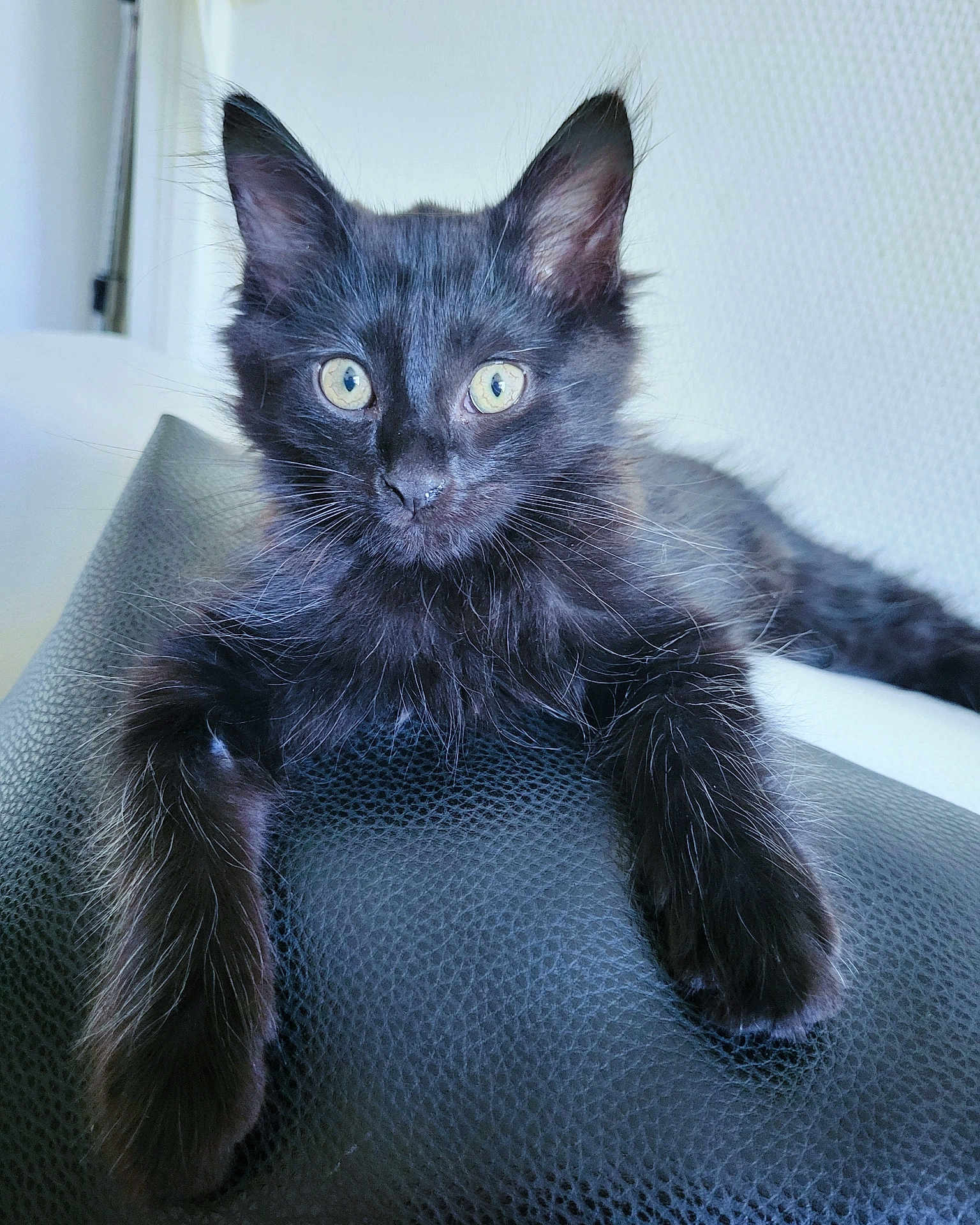 Onyx