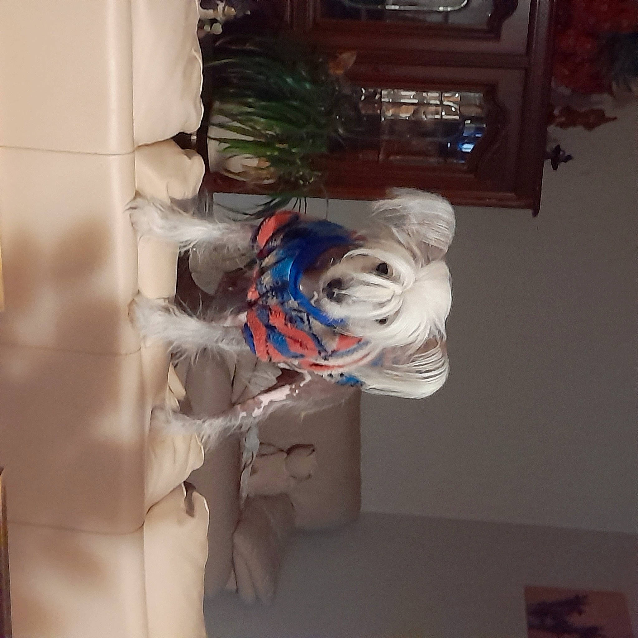 Rosita participe au concours pour gagner de l'argent avec cette photo : art, carmine, ceiling, electrical_supply, electrical_wiring, flooring, paint, personal_protective_equipment, plaster, plastic, room, space, toy, visual_arts, wire, wood