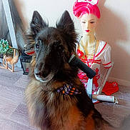 Loucky a rejoint le concours — aidez-le/la à gagner de superbes lots ! bandana, black_fur, brown_fur, costume, decor, dog, floor, flooring, indoor, lighting, mannequin, medical_props, nurse_costume, pet, pink_hair, plastic, portrait, shadow, toy, wall