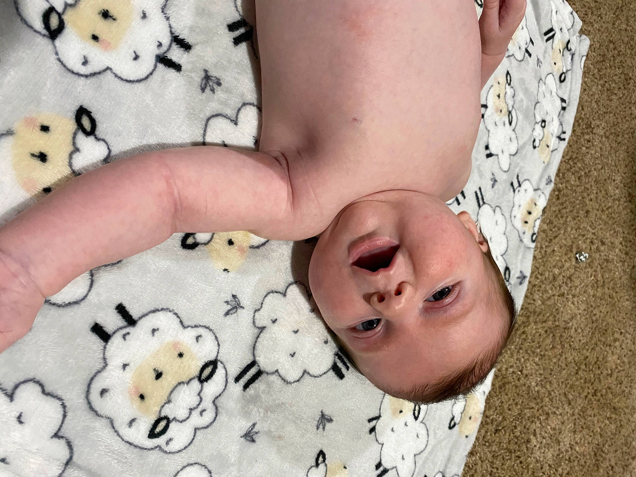 Freya joined the competition — help win amazing prizes! chest, child, comfort_food, design, eyelash, facial_expression, flesh, font, fur, happy, mammal, nail, pattern, person, plush, stuffed_toy, textile, toddler, toy, vertebrate