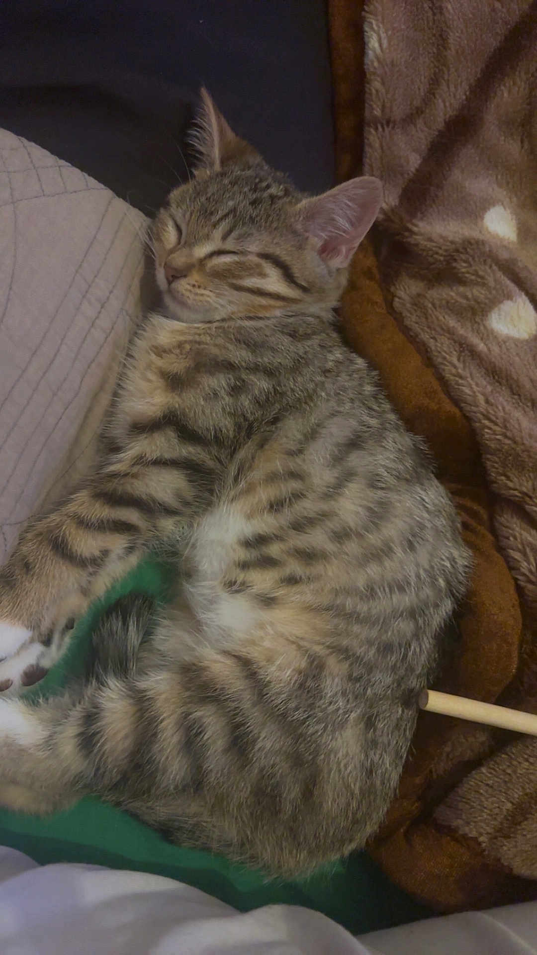 Nala