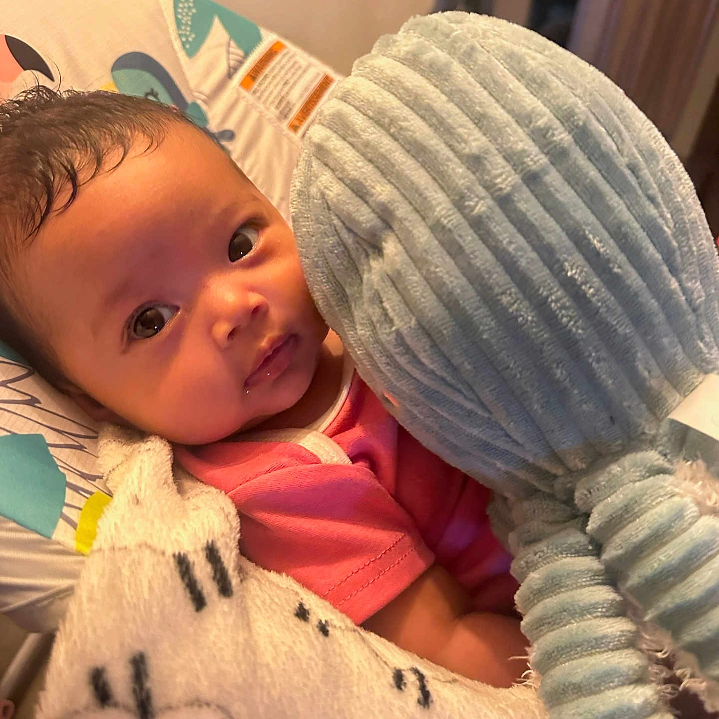Annalise joined the competition — help win amazing prizes! baby, baby_seat, blanket, child, closeup, comfort, cozy, cute, eyes, face, indoor, infant, looking, octopus, patterned_fabric, pink_clothing, plush_toy, portrait, snuggling, soft_toy